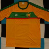 Special football shirt 2011