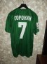 Tom Tomsk Home football shirt 2013 - 2014