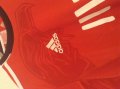Benfica Home football shirt 2013 - 2014