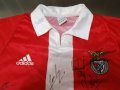 Benfica Home football shirt 2003 - 2004