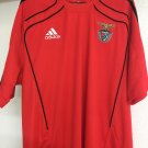 Training/Leisure football shirt 2008 - 2009