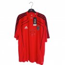 Training/Leisure football shirt 2010 - 2011