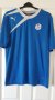 Sheffield Wednesday Training/Leisure football shirt 2013 - 2014