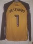 Sheffield Wednesday Goalkeeper football shirt 2017 - 2018