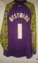 Sheffield Wednesday Goalkeeper football shirt 2015 - 2016