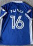 Sheffield Wednesday Home football shirt 2016 - 2017