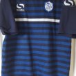 Training/Leisure football shirt 2015 - 2016