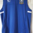 Training/Leisure football shirt 2016 - 2017