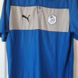 Training/Leisure football shirt 2012 - 2013