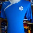 Training/Leisure football shirt 2013 - 2014