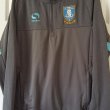 Training/Leisure football shirt 2016 - 2017