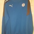 Training/Leisure football shirt 2012 - 2013