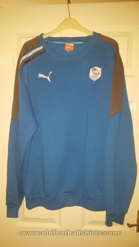 Sheffield Wednesday Training/Leisure football shirt 2012 - 2013