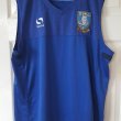 Training/Leisure football shirt 2016 - 2017
