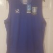 Training/Leisure football shirt 2016 - 2017