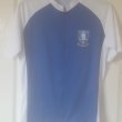 Training/Leisure football shirt 2017 - 2018