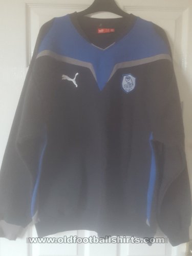 Sheffield Wednesday Training/Leisure football shirt (unknown year)