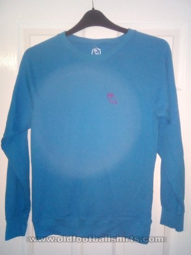 Sheffield Wednesday Training/Leisure football shirt (unknown year)