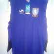 Training/Leisure football shirt 2016 - 2017