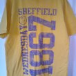 Training/Leisure football shirt (unknown year)