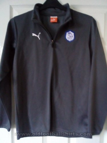 Sheffield Wednesday Training/Leisure football shirt 2011 - 2012