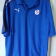Training/Leisure football shirt 2011 - 2012