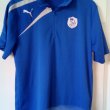 Training/Leisure football shirt 2013 - 2014