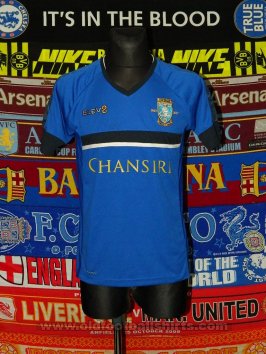 Sheffield Wednesday Training/Leisure football shirt 2017