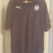 Training/Leisure football shirt 2011 - 2012