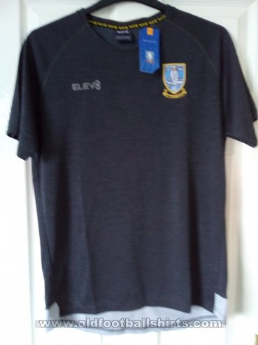 Sheffield Wednesday Training/Leisure football shirt 2019 - 2020