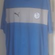 Training/Leisure football shirt 2013 - 2014