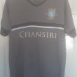 Training/Leisure football shirt 2017 - 2018
