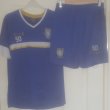 Training/Leisure football shirt 2017 - 2018
