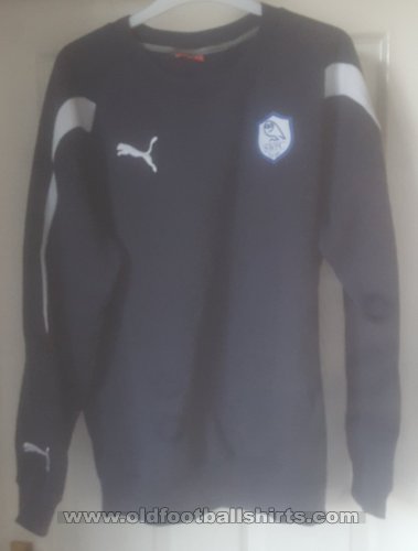 Sheffield Wednesday Training/Leisure football shirt 2012 - 2013