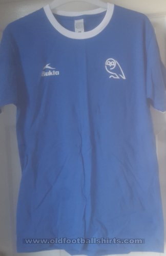 Sheffield Wednesday Training/Leisure football shirt 2021 - 2022