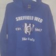 Training/Leisure football shirt 2021 - 2022