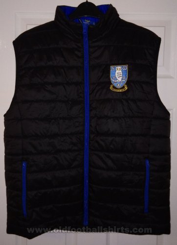 Sheffield Wednesday Training/Leisure football shirt 2021 - 2022