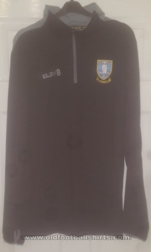 Sheffield Wednesday Training/Leisure football shirt 2019 - 2020
