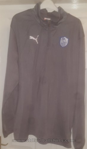 Sheffield Wednesday Training/Leisure football shirt 2012 - 2013
