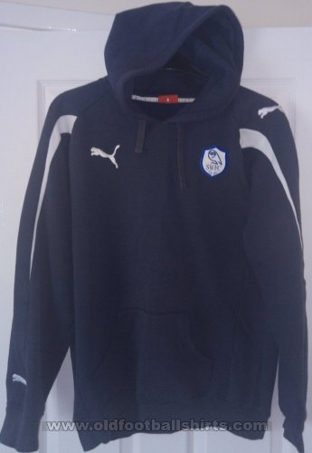 Sheffield Wednesday Training/Leisure football shirt 2012 - 2013