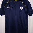 Training/Leisure football shirt 2001 - 2003