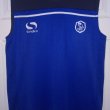Training/Leisure football shirt 2015 - 2016