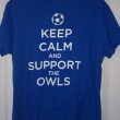 Training/Leisure football shirt 2016 - 2017