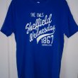 Training/Leisure football shirt (unknown year)