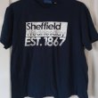 Training/Leisure football shirt 2010 - 2011
