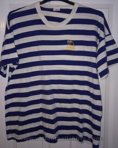 Sheffield Wednesday Training/Leisure football shirt 2000 - 2001