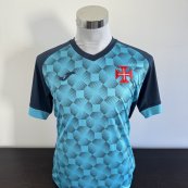 Training/Leisure football shirt 2023 - 2024