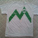 PFC Pirin Gotse Delchev football shirt 2012 - 2013