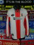Southampton Home football shirt 1999 - 2001
