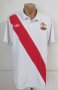 Southampton Home football shirt 2010 - 2011